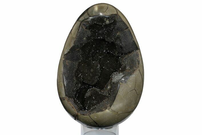 Septarian Dragon Egg Geode - Black Crystals #172803